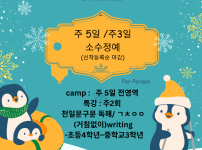 Illustrated Fun Christmas Penguins Winter Camp Flyer (2).png